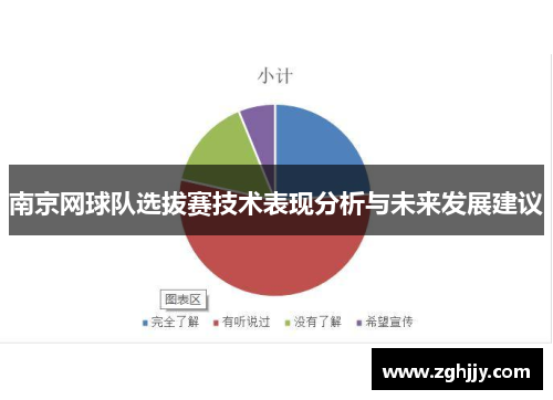 南京网球队选拔赛技术表现分析与未来发展建议