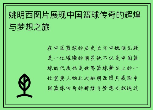 姚明西图片展现中国篮球传奇的辉煌与梦想之旅